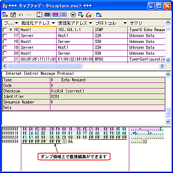 パケット編集ウィンドウ